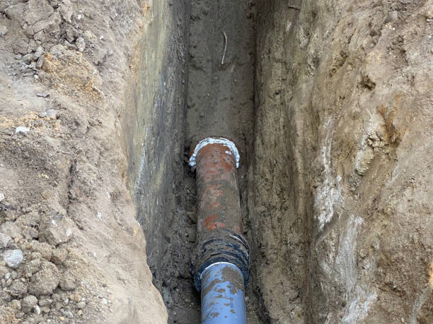 Best Flood damage cleanup  in Orwigsburg, PA