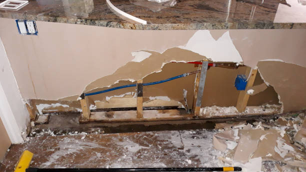 Best Ceiling water damage repair  in Orwigsburg, PA
