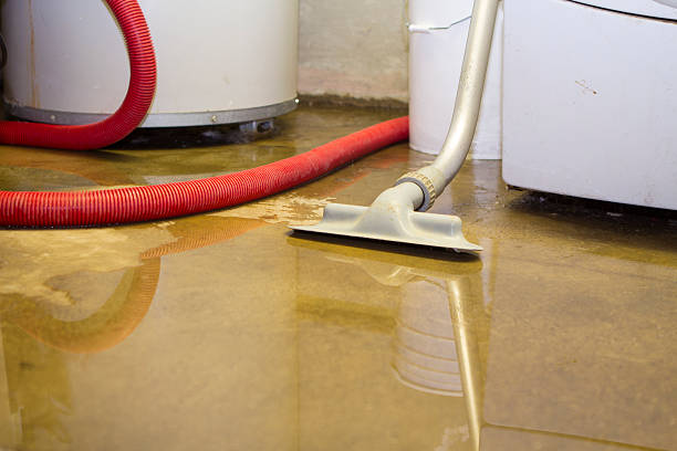 Best Water damage contractors near me  in Orwigsburg, PA