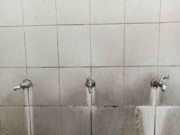 Best Local water damage restoration  in Orwigsburg, PA