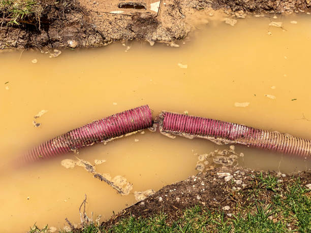 Best Basement water damage restoration  in Orwigsburg, PA