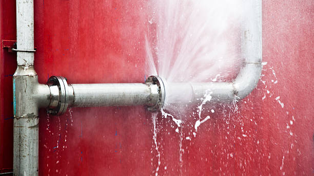 Best Fire Damage Restoration  in Orwigsburg, PA