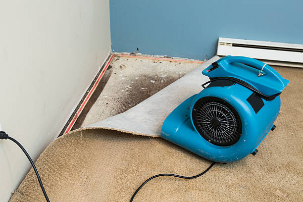 Best Commercial water damage restoration  in Orwigsburg, PA